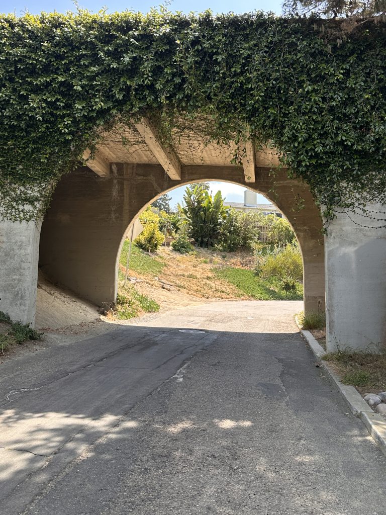 La Jolla Bicycle Tours